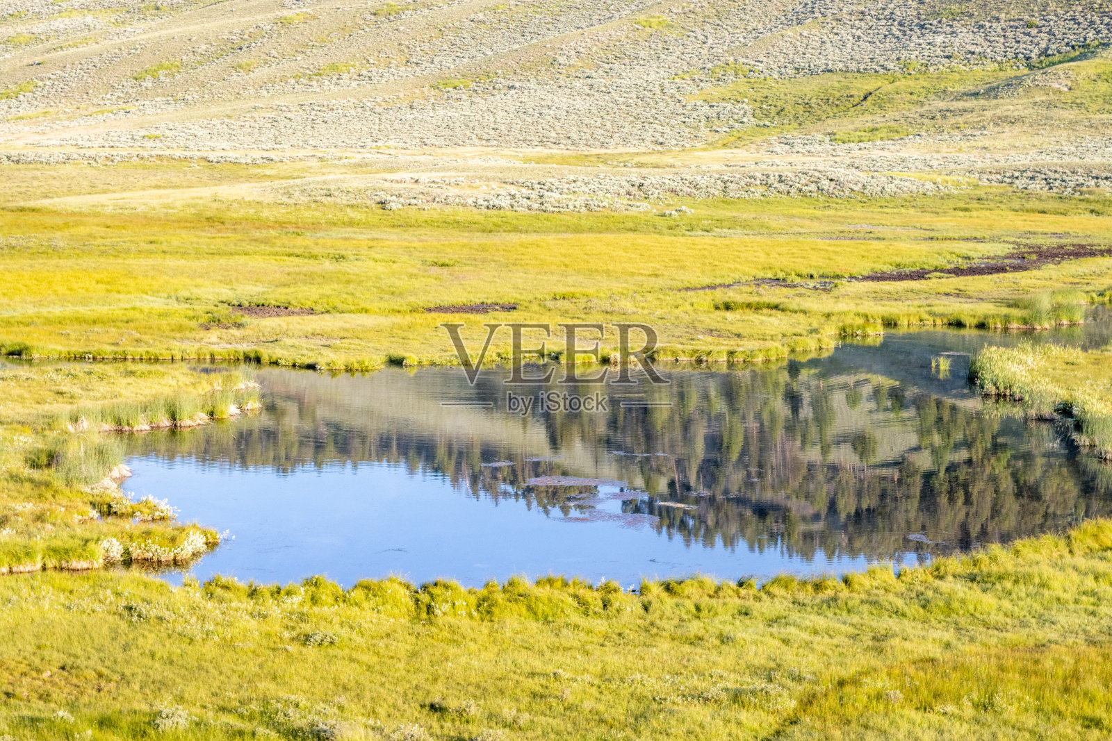 位于怀俄明州帕克县黄石国家公园的黑尾池照片摄影图片