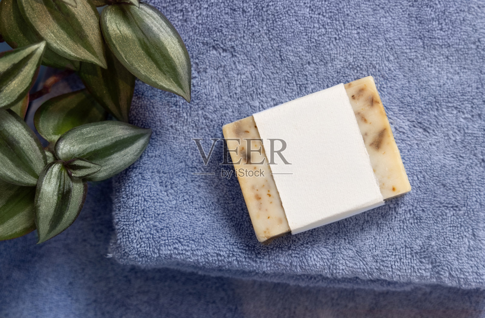 蓝色折叠毛巾上有空白标签的香皂，靠近绿色植物顶部视图，包装模型照片摄影图片