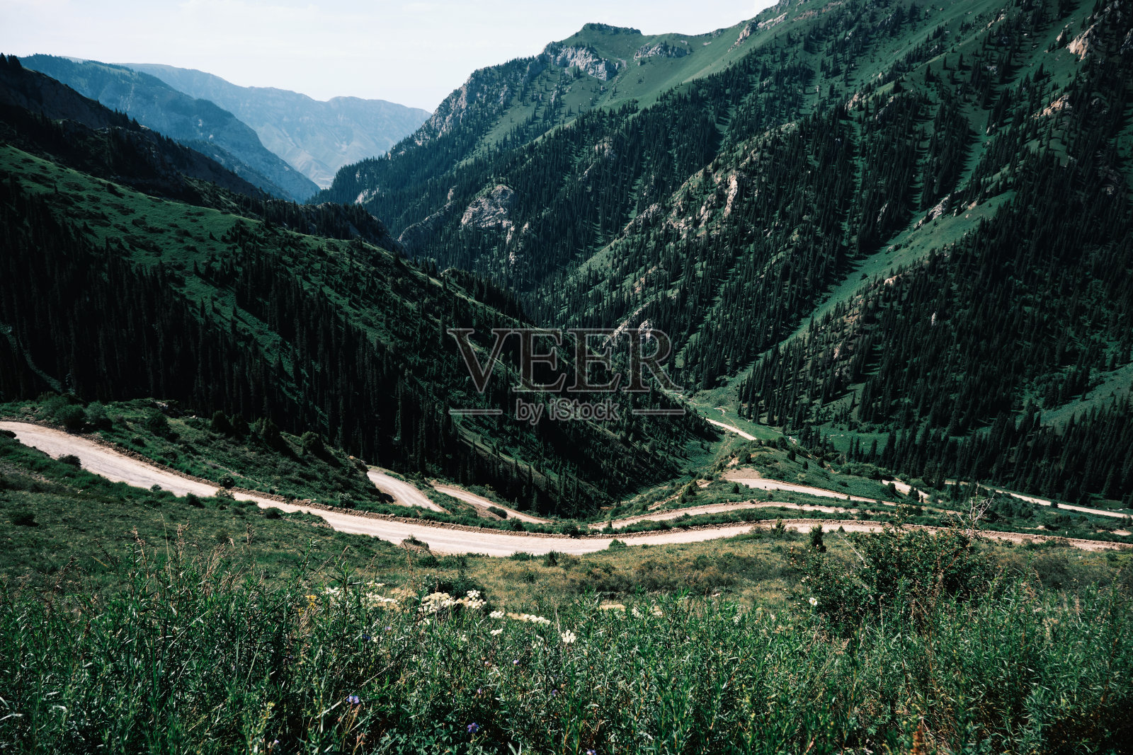 蜿蜒的道路通往山峡，山峡覆盖着常绿的森林和茂密的草地照片摄影图片