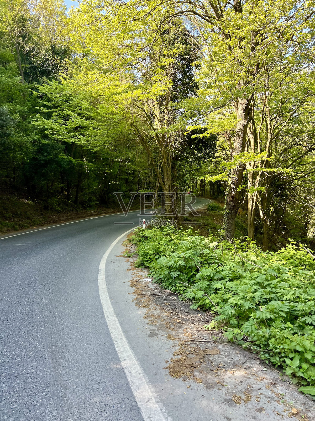 路，海，天照片摄影图片