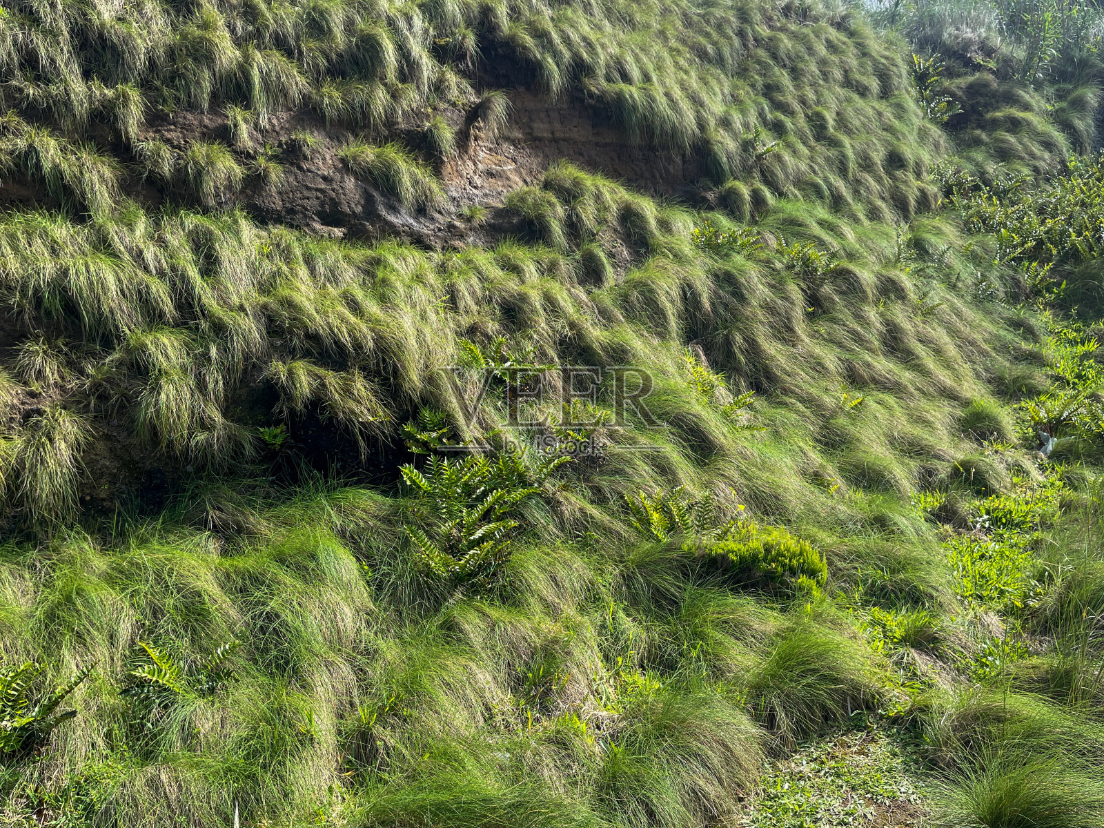 徒步穿越亚速尔群岛和葡萄牙照片摄影图片