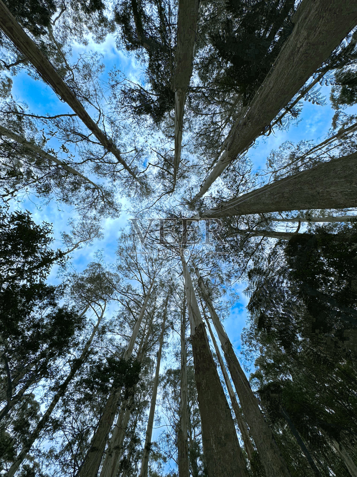 自然/户外照片摄影图片