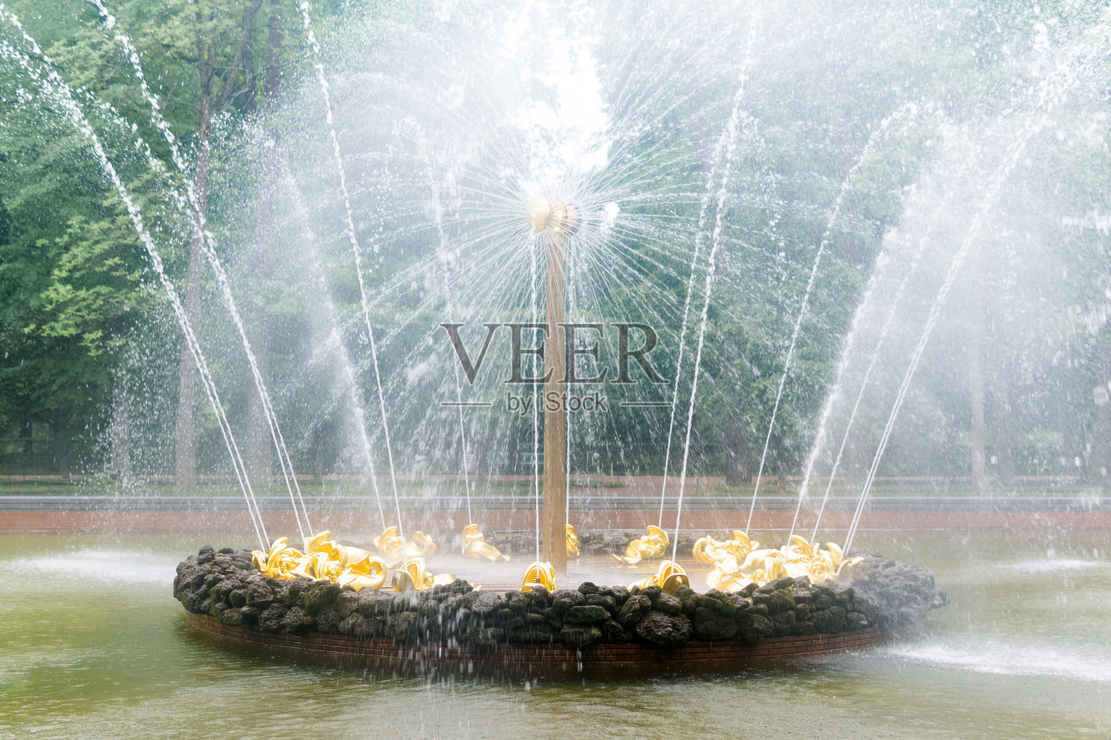 圣彼得堡彼得霍夫公园的太阳喷泉照片摄影图片