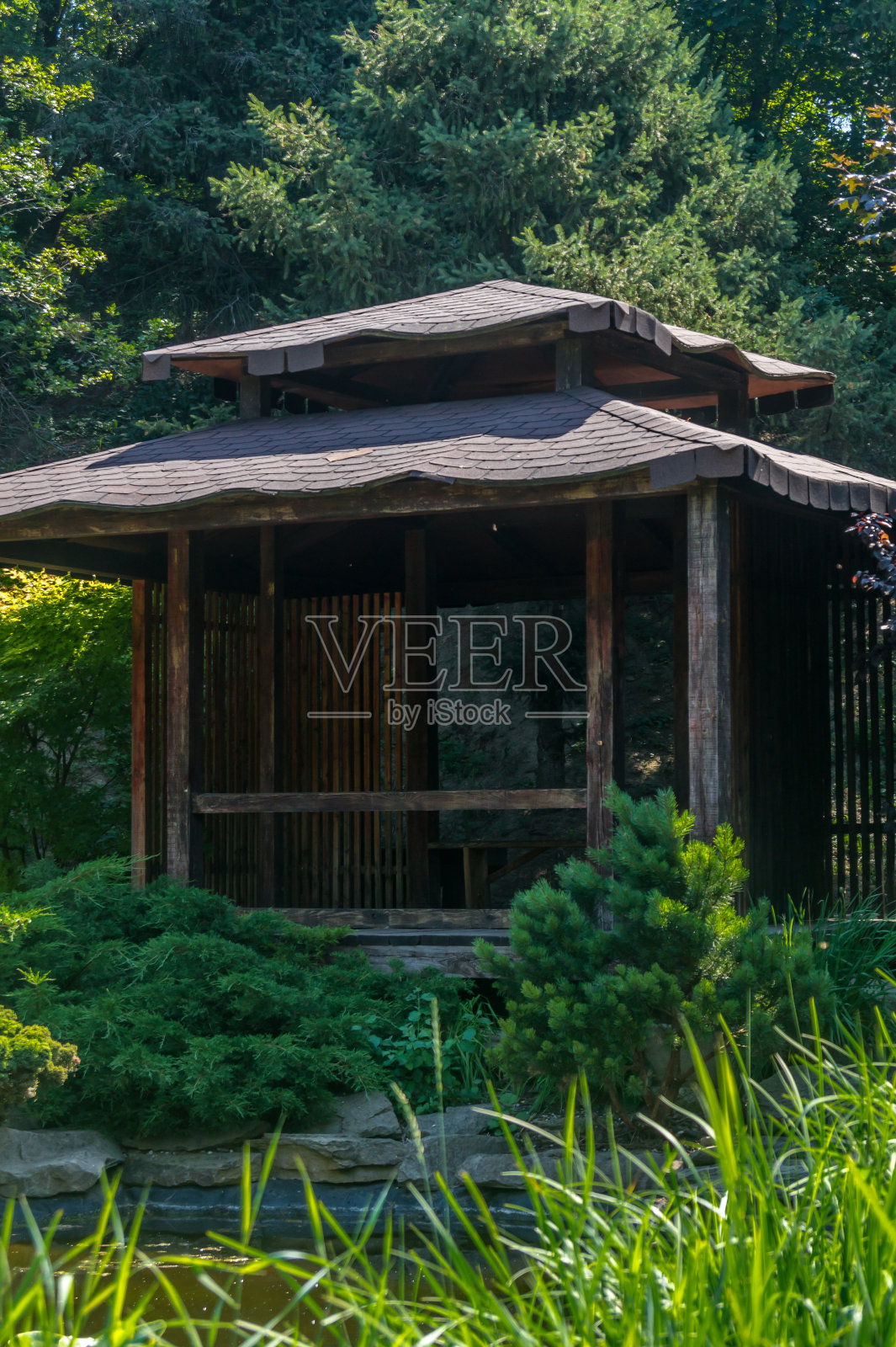 公园树木间的日式凉亭。亚洲风格的森林木屋照片摄影图片