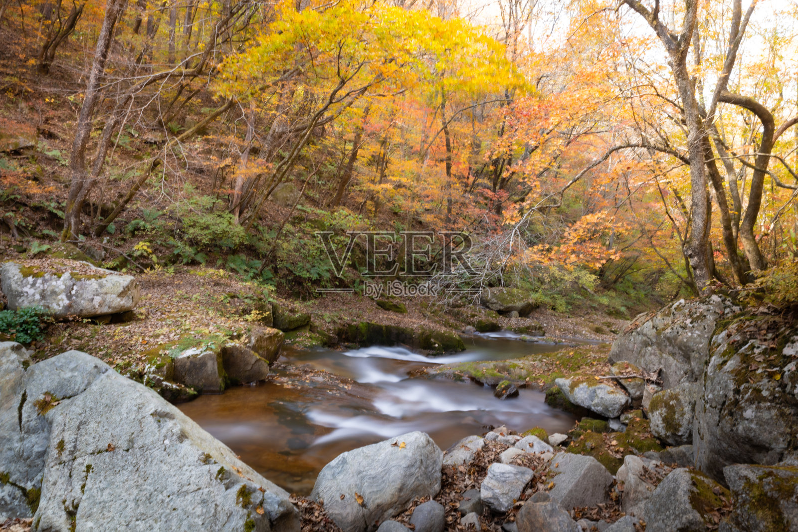江原麟蹄郡方台山的秋景照片摄影图片