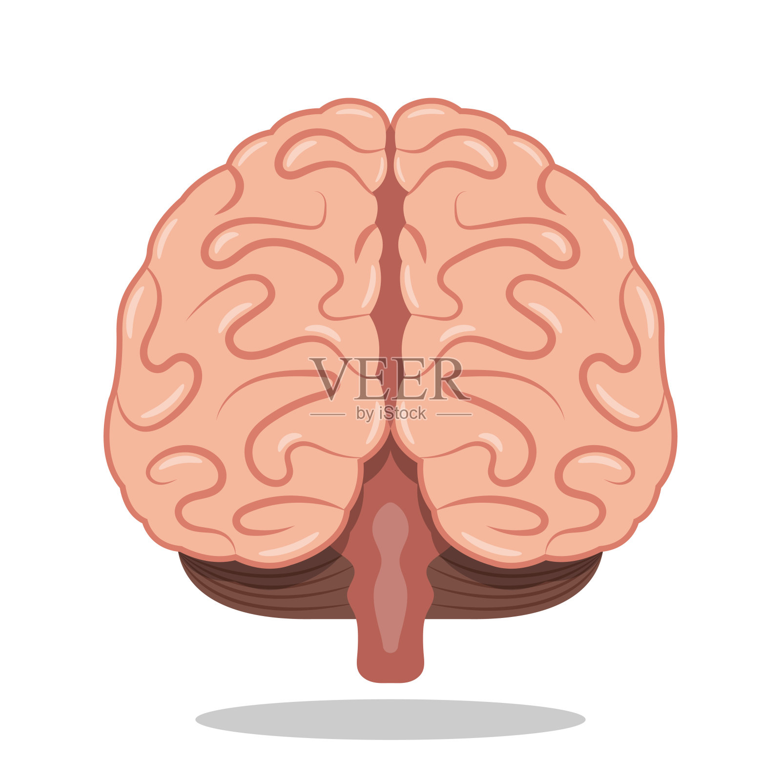 人脑医学前视图图标插图向量插画图片素材