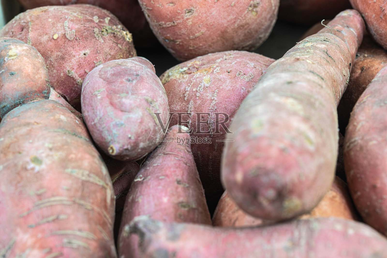 生产商或商人提供的有机红薯特写。照片摄影图片