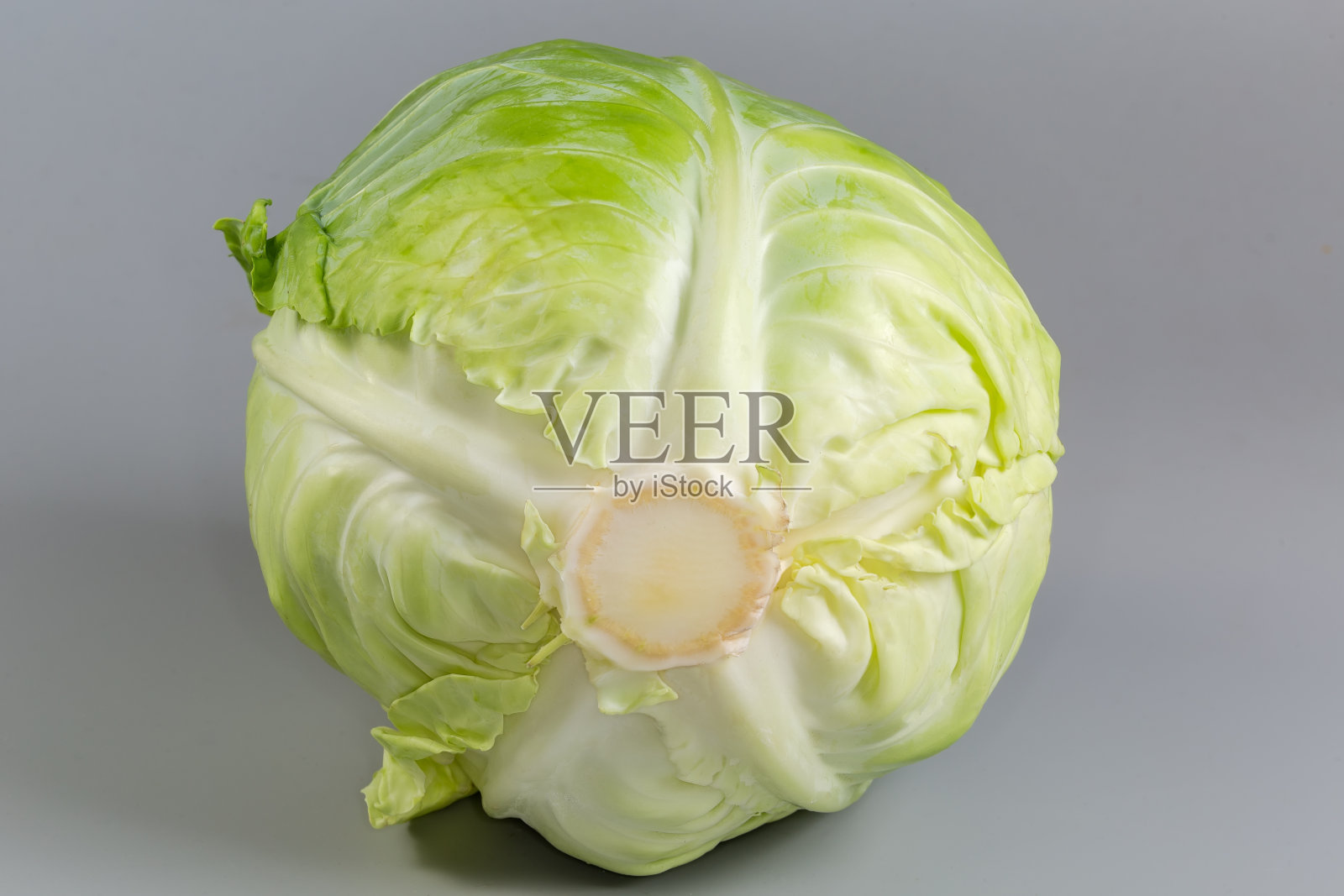 灰色背景上的小白卷心菜的头照片摄影图片