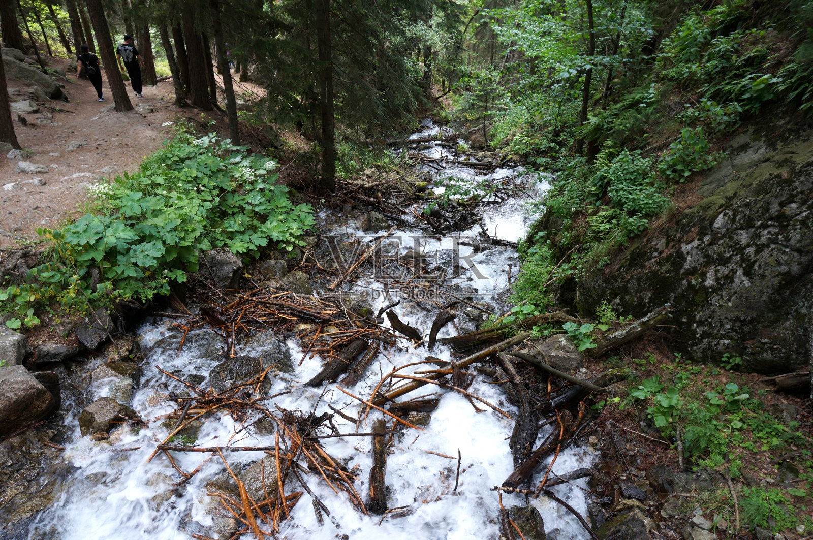 这条河流经多山和树木繁茂的地区。照片摄影图片
