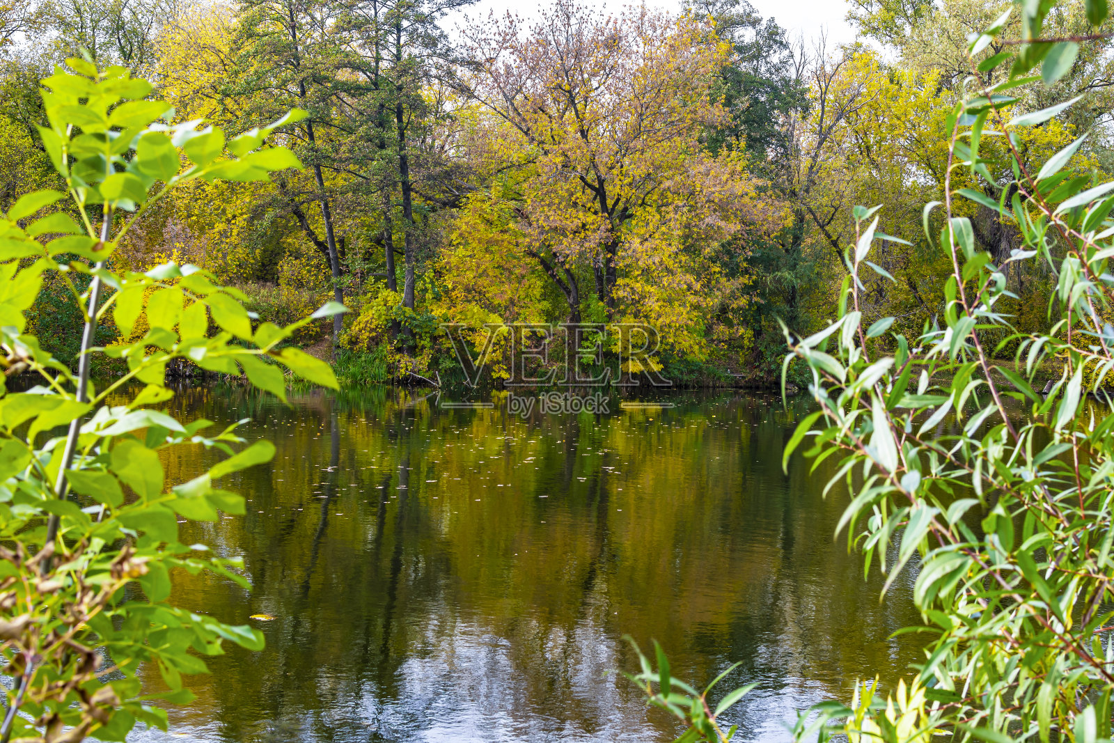 秋天照片摄影图片