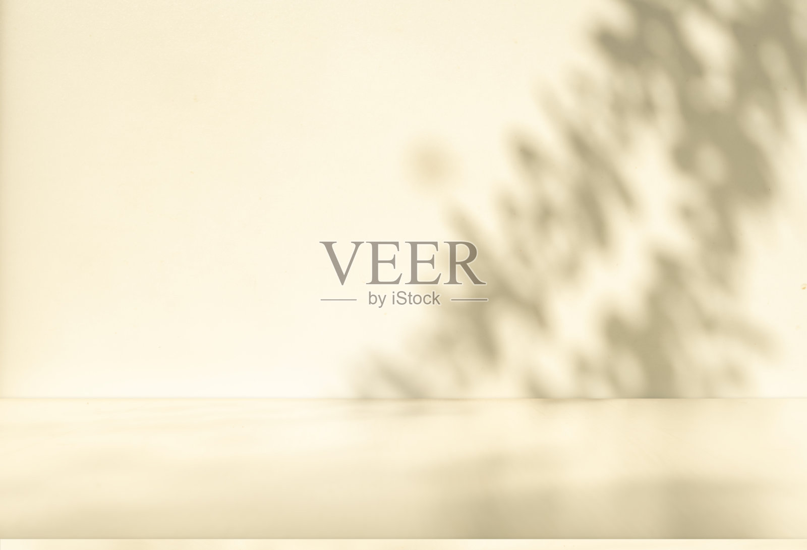 墙壁内部背景，工作室和背景显示产品。带阴影的树叶从窗户的颜色白色和米色。背景文字插入和演示产品照片摄影图片