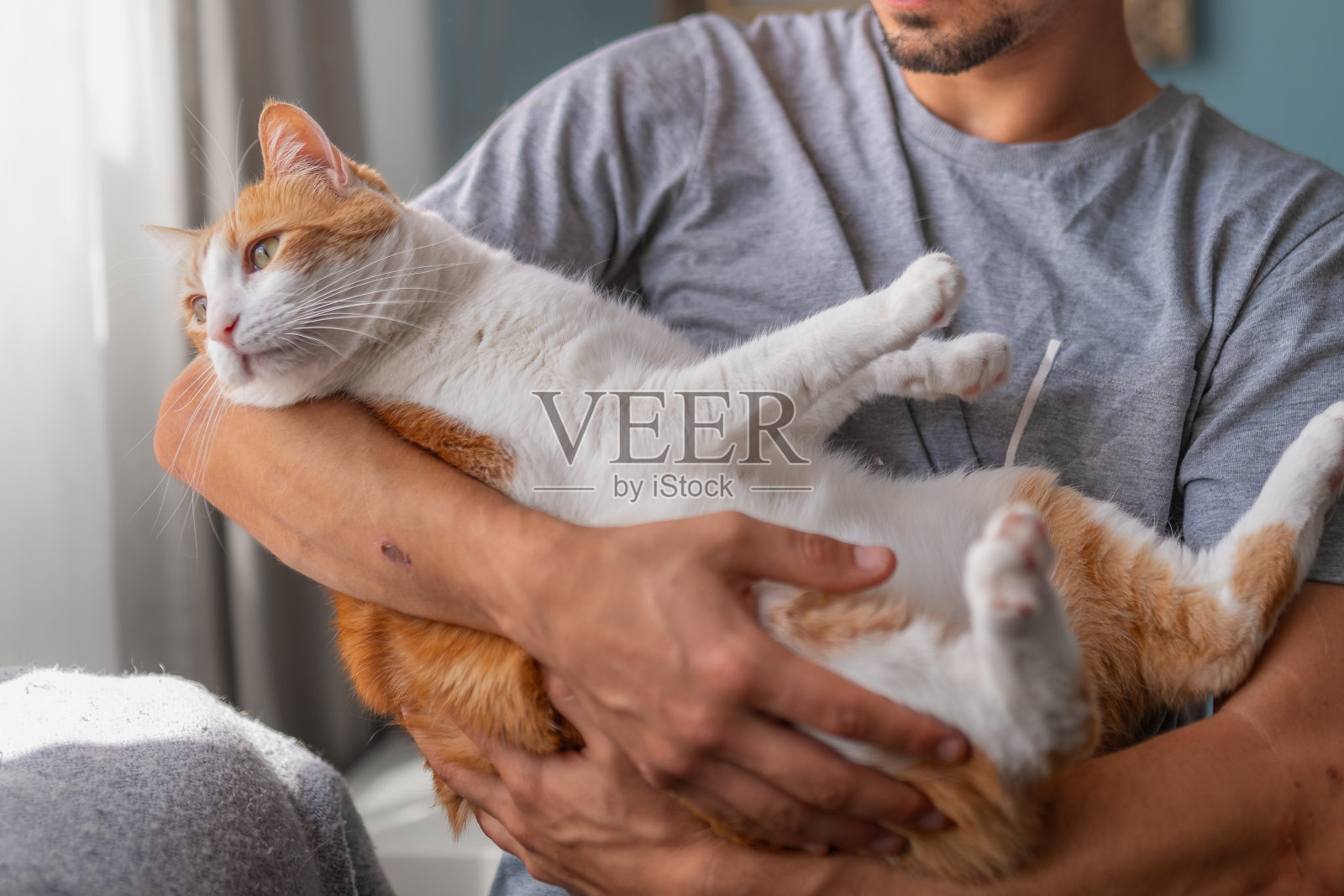 一个年轻人在客厅里与一只家猫互动照片摄影图片