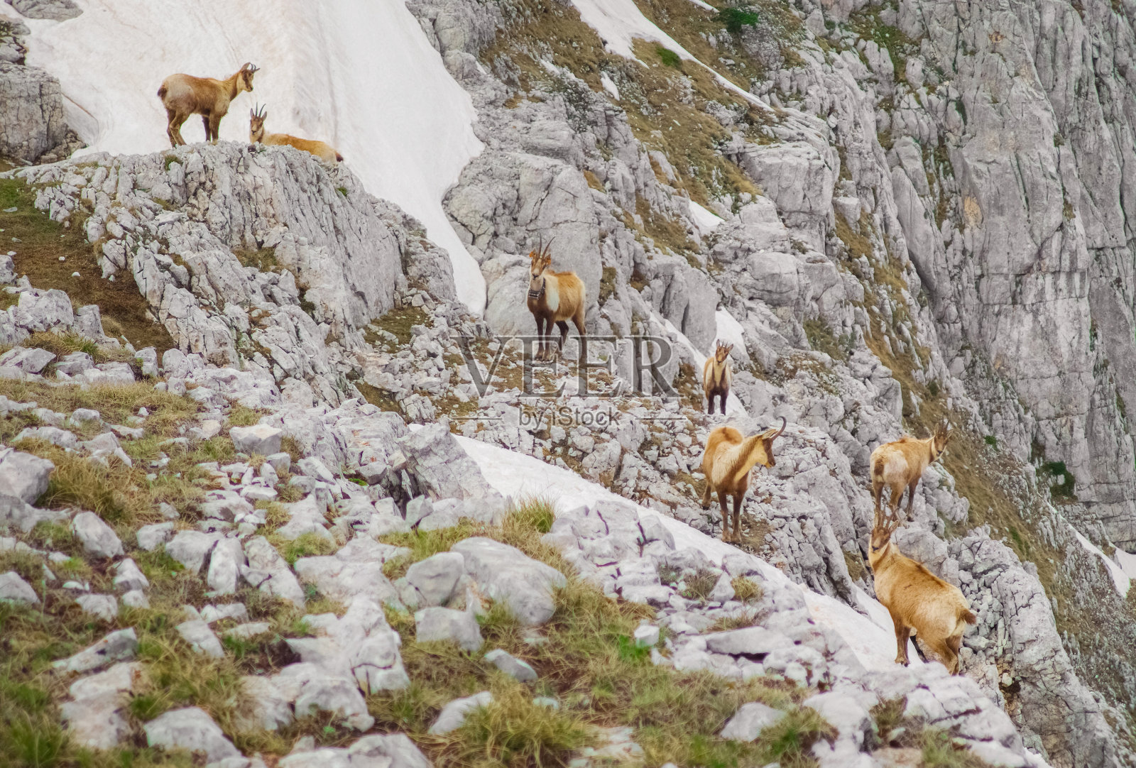 西伦特山(意大利)-阿布鲁佐山照片摄影图片