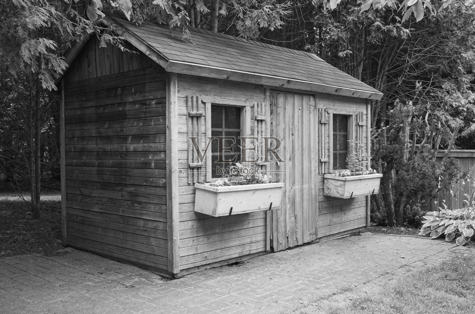 黑白照片的木棚与花箱照片摄影图片