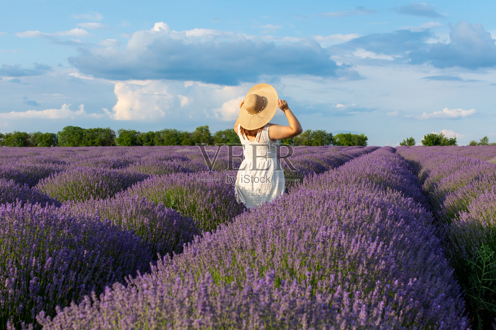 一位身穿白色连衣裙、头戴草帽的妇女站在薰衣草地里照片摄影图片