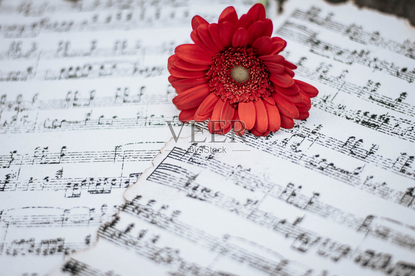 奇妙的新事物照片摄影图片