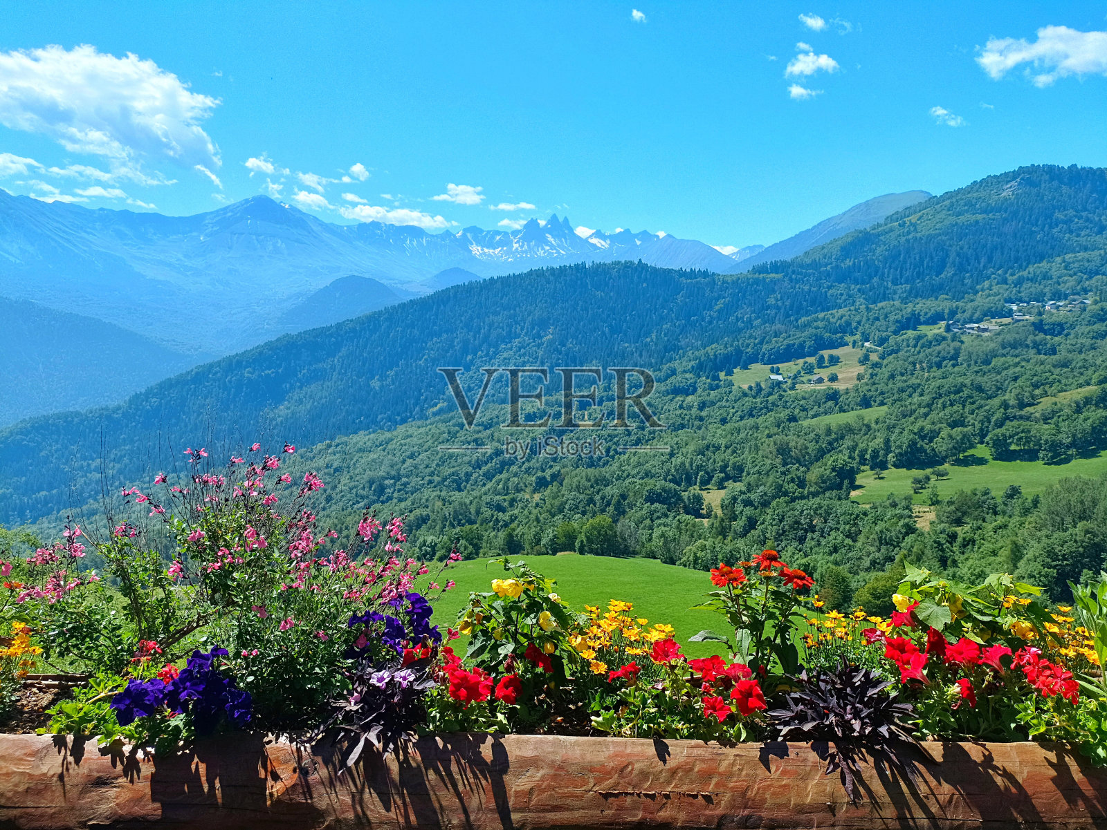 法国阿尔卑斯山脉萨瓦-莫里安山谷的贾里尔-圣-让-德莫里安山在夏天有飞鱼和鲜花照片摄影图片