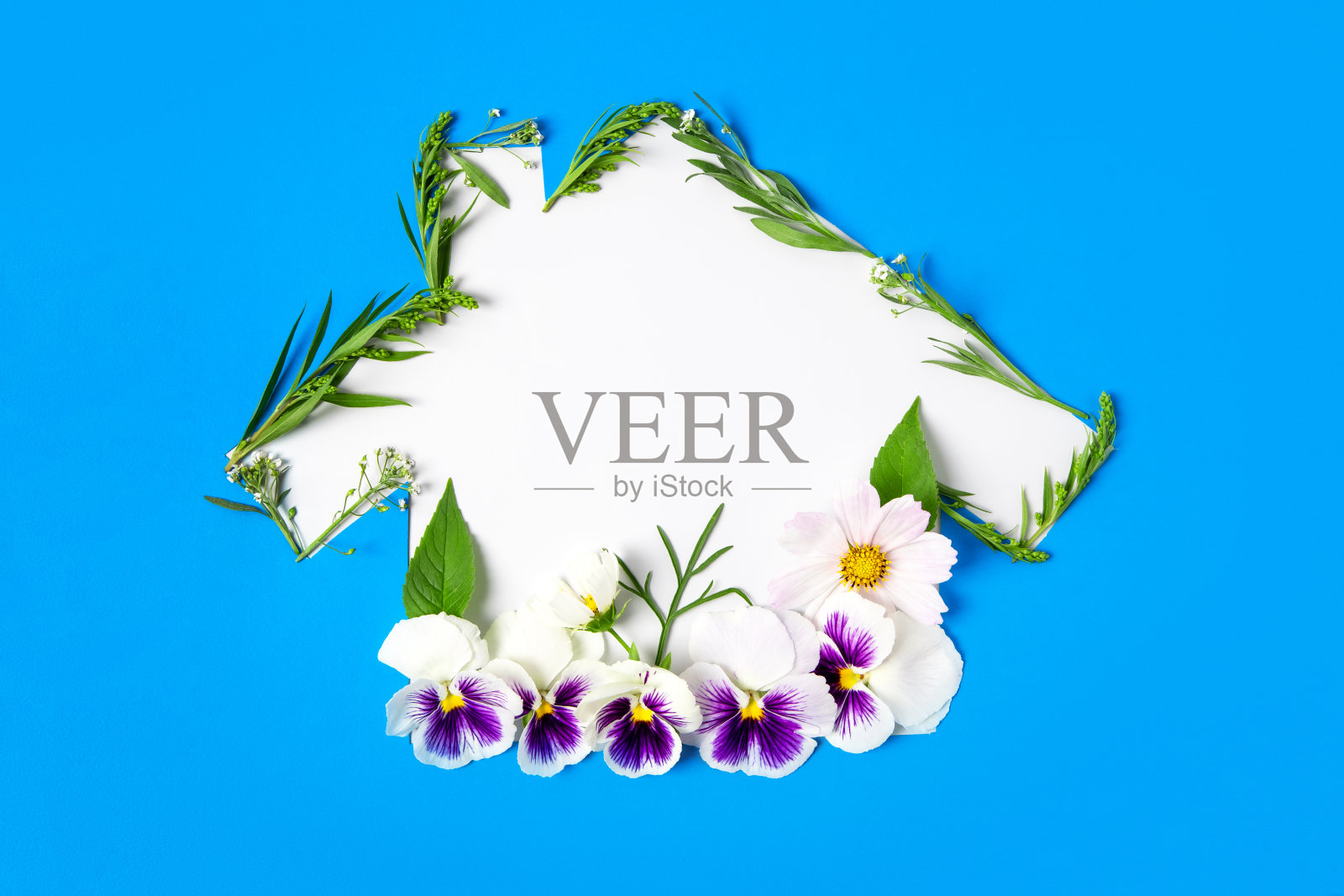 环境日快乐照片摄影图片