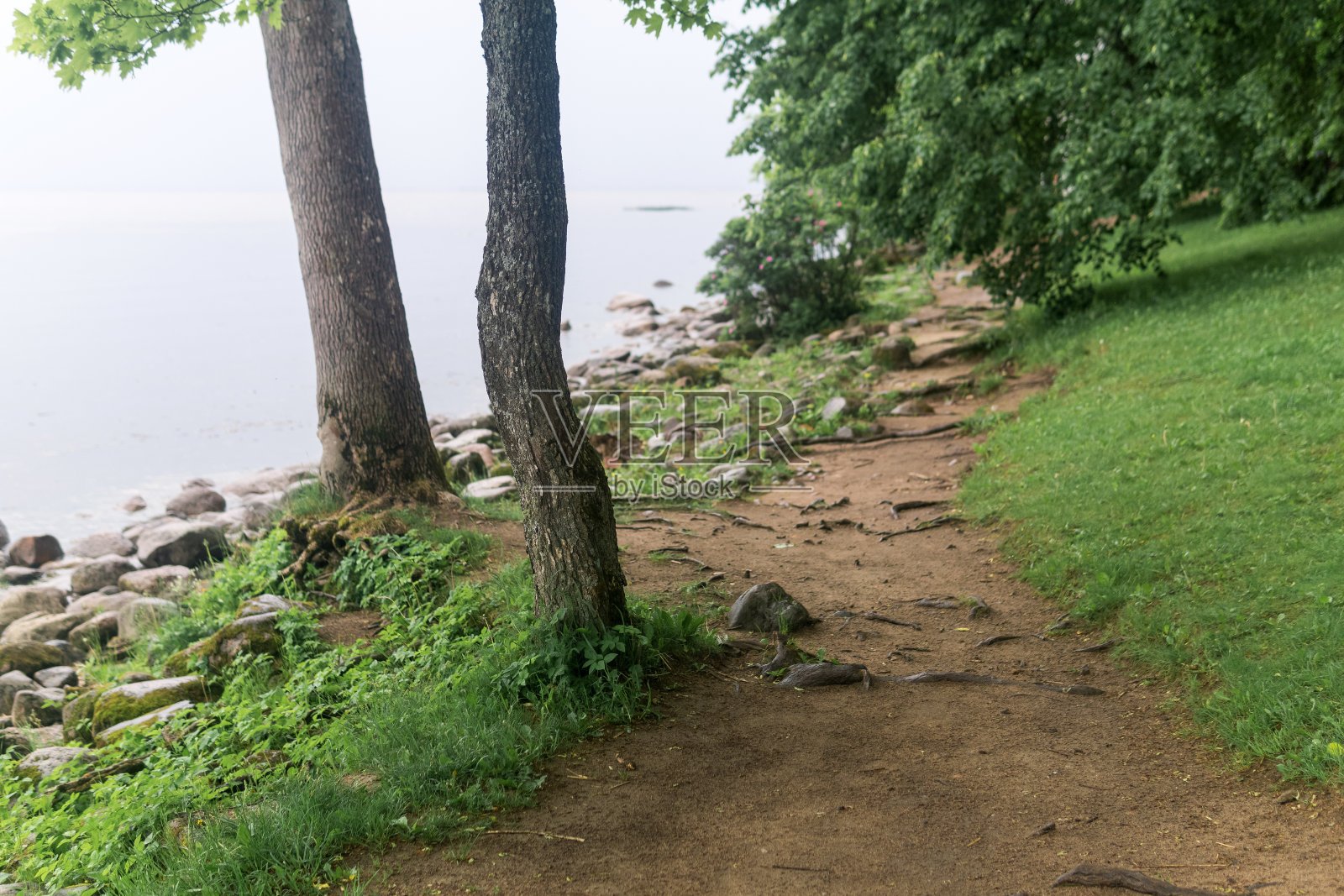 多云天气时，树木繁茂的海岸上的小路照片摄影图片