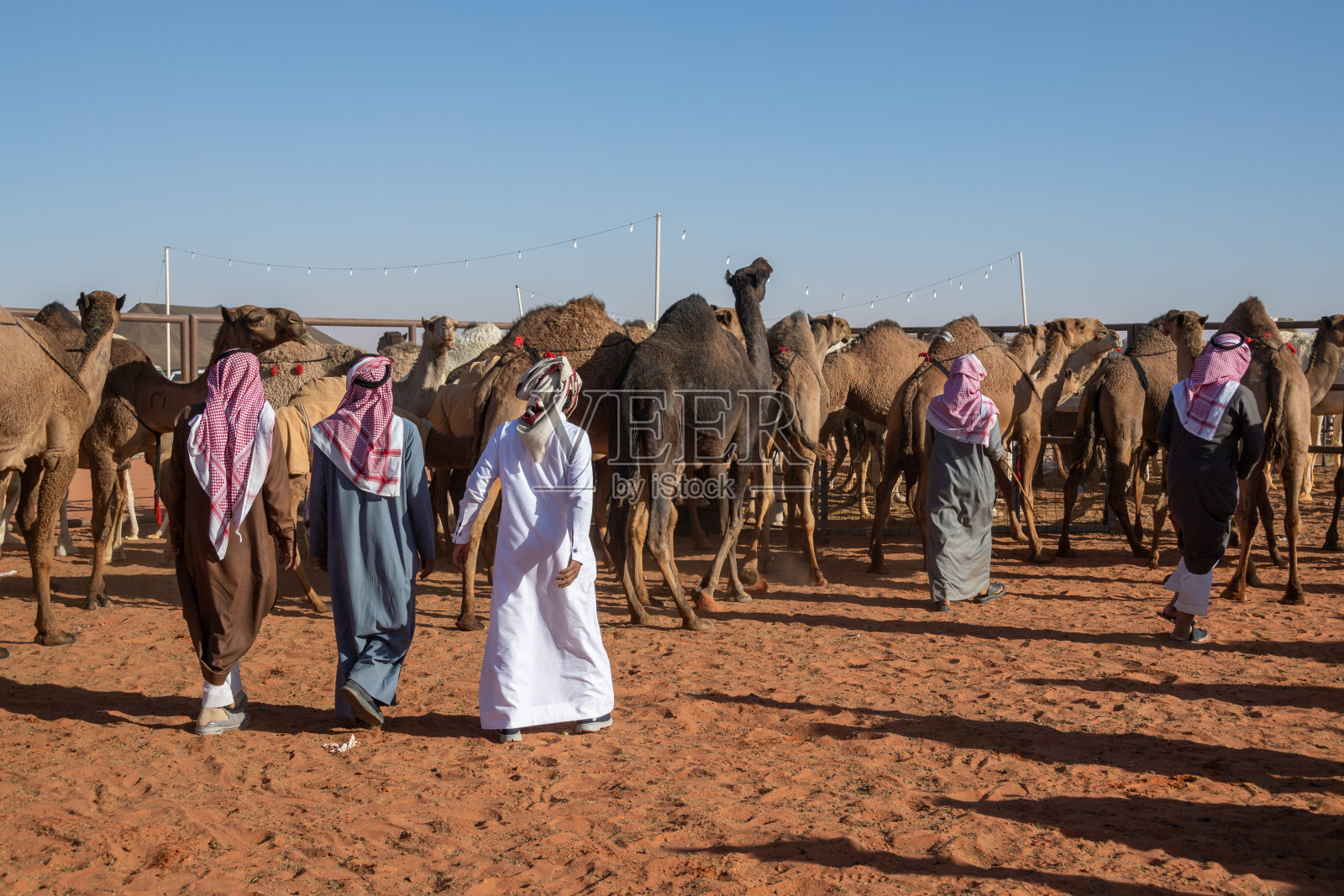 沙特阿拉伯的珠宝:2018年1月，在利雅得附近的利玛，阿卜杜勒阿齐兹国王骆驼节。照片摄影图片