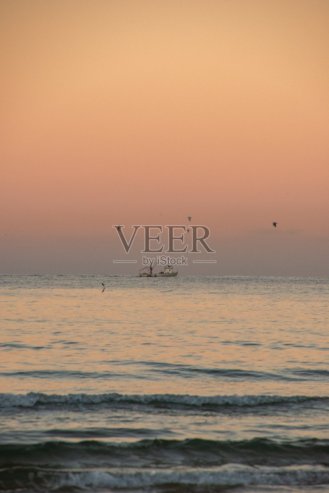 特拉维夫海岸的“金色时刻渔民”：渔船和海鸥照片摄影图片