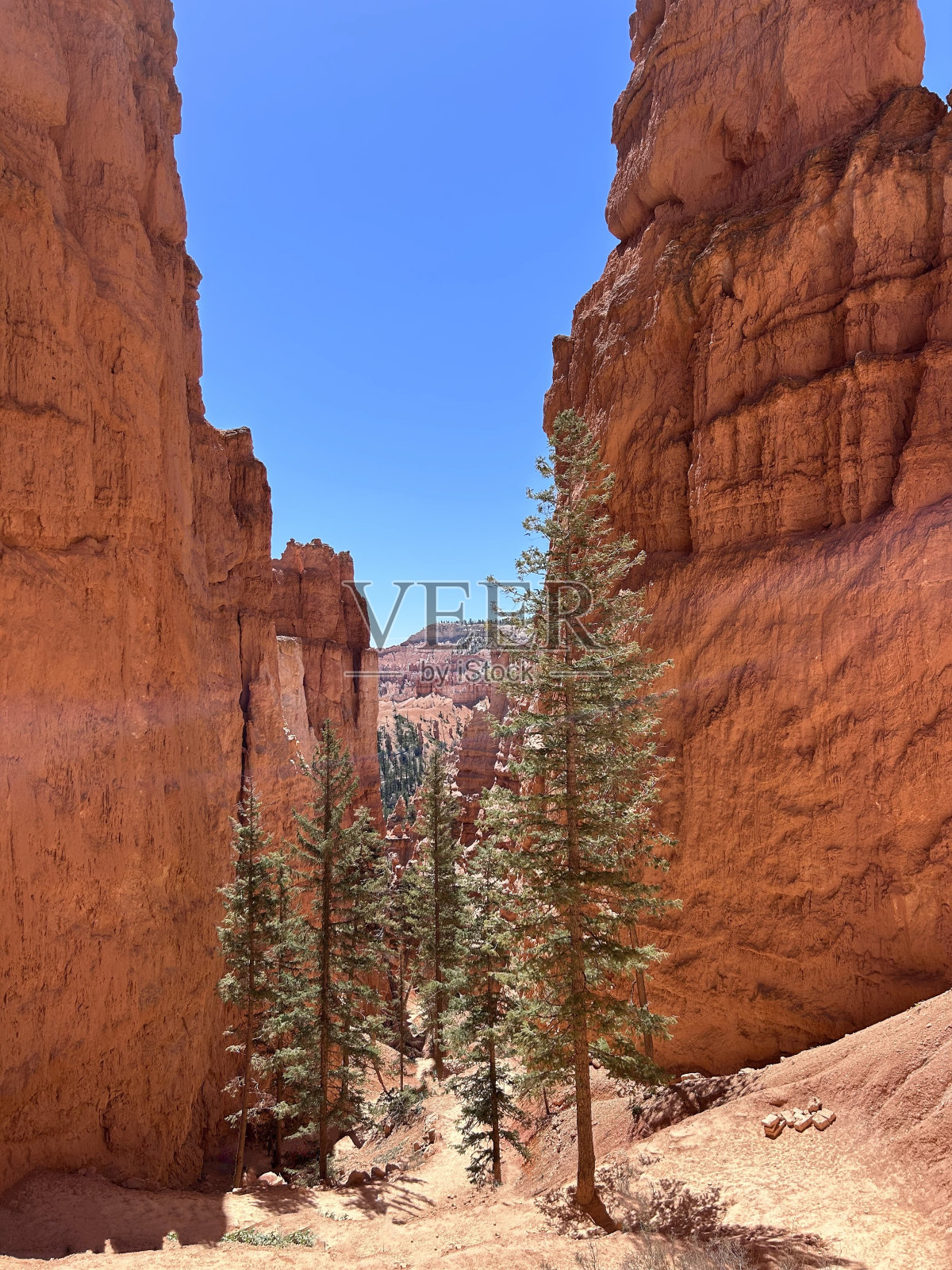 布莱斯峡谷照片摄影图片