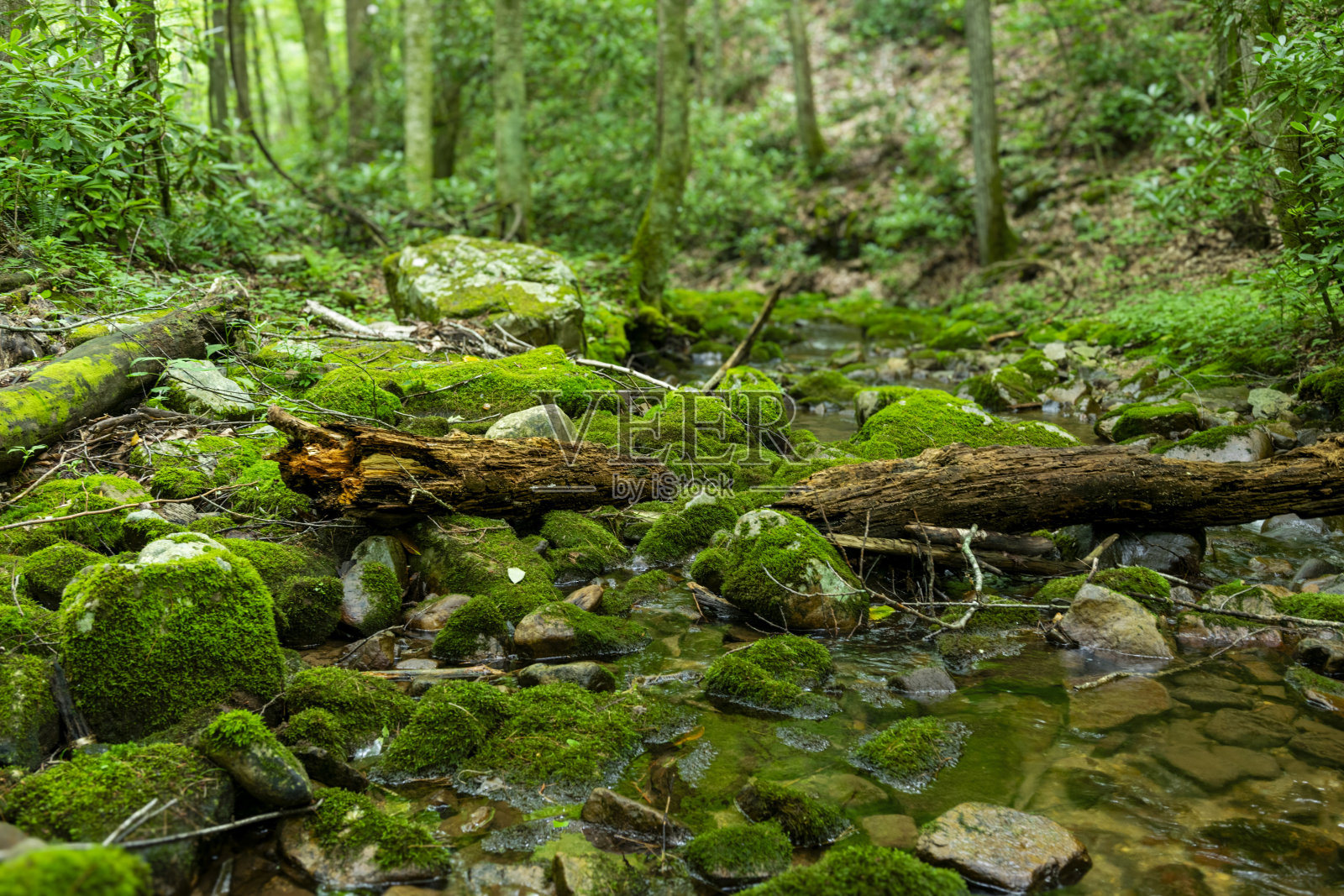 田纳西州Gentry Falls和Trail Laurel Bloomery照片摄影图片