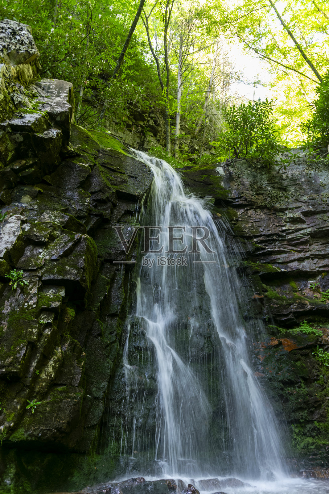 田纳西州Gentry Falls和Trail Laurel Bloomery照片摄影图片