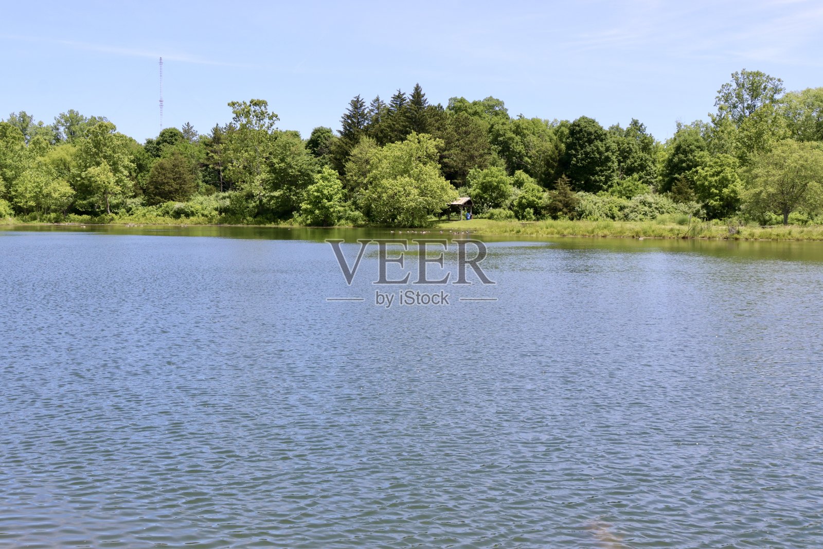 春天Lakr照片摄影图片