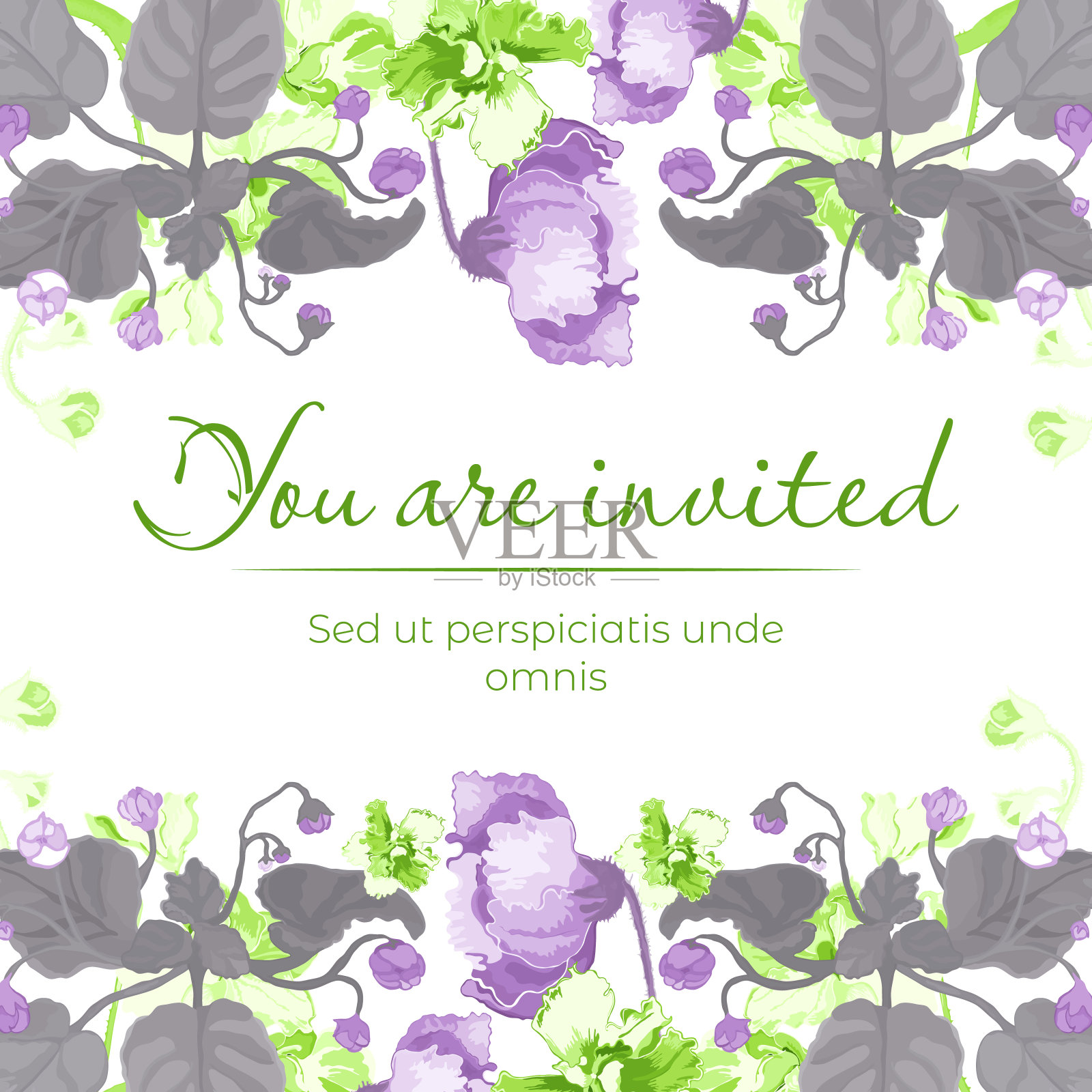 孤立的框架与室内植物盛开插画图片素材