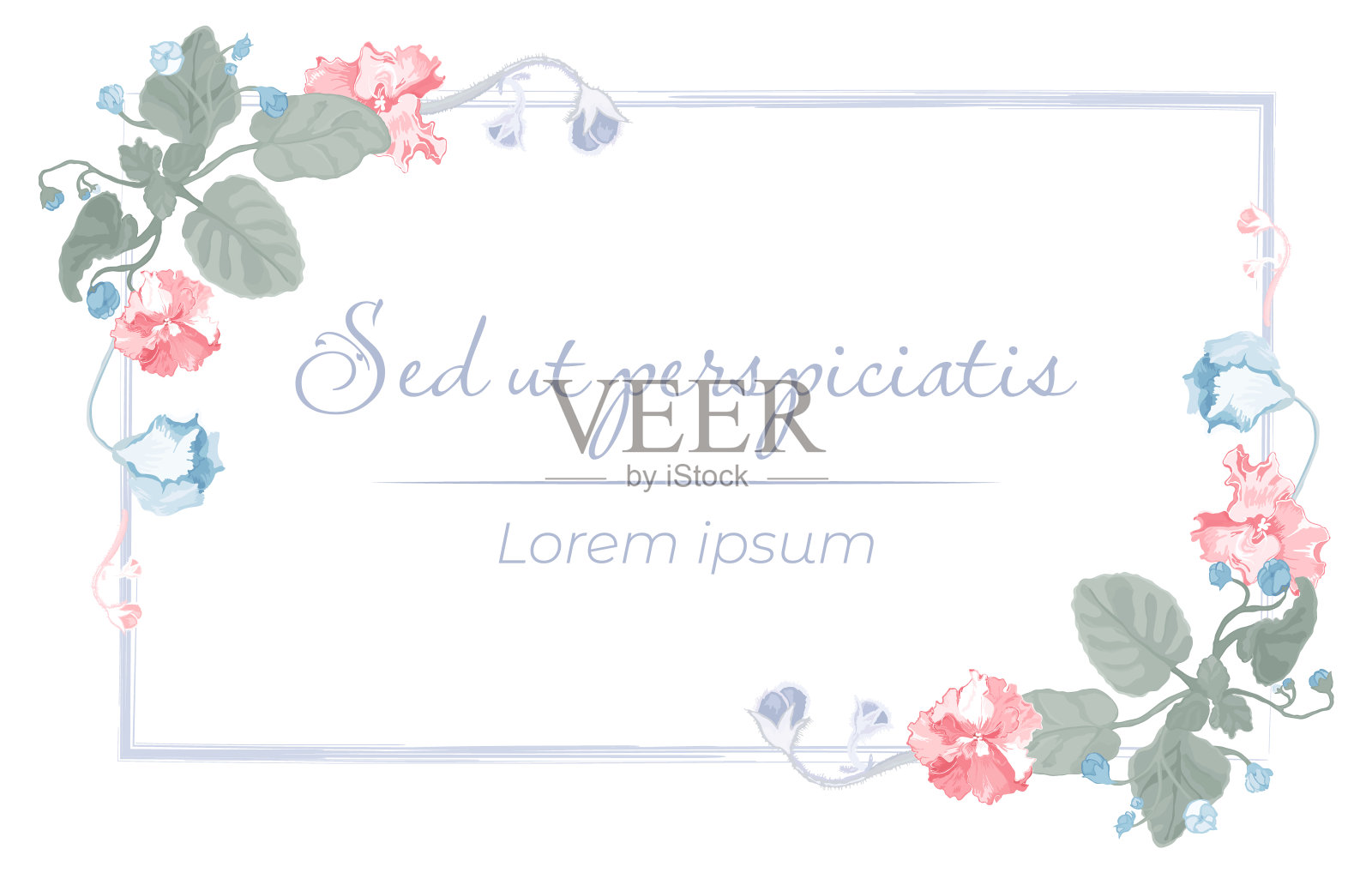 孤立的框架与室内植物盛开插画图片素材