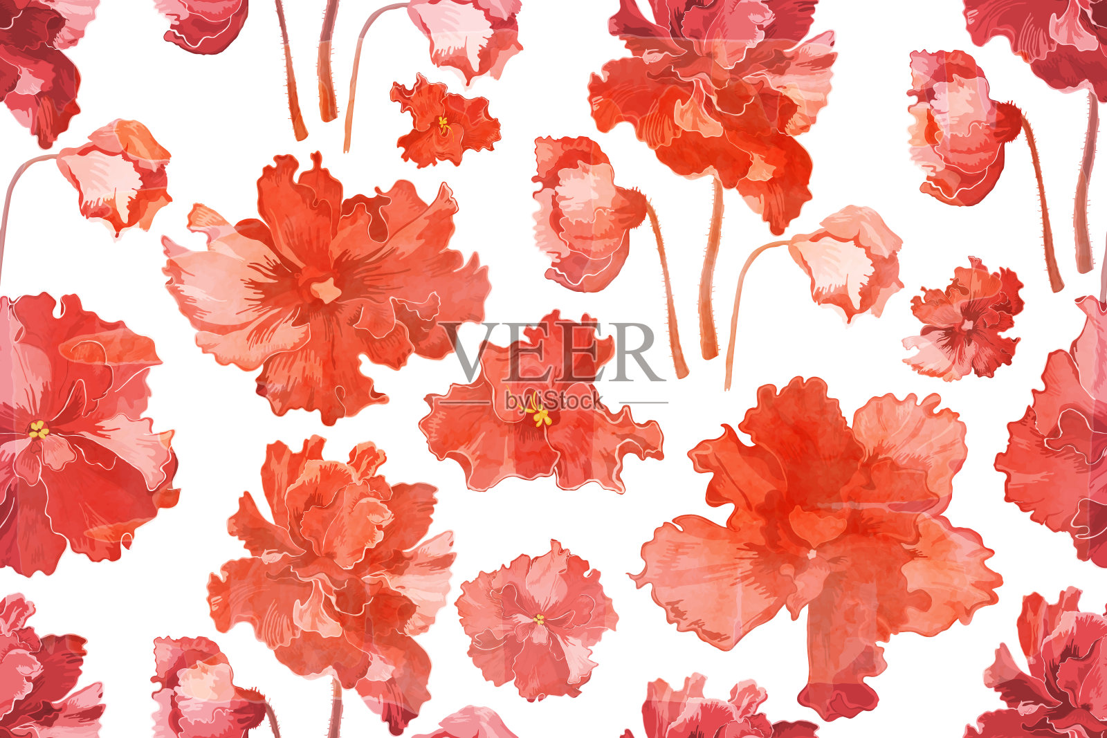 无缝图案与室内植物盛开插画图片素材