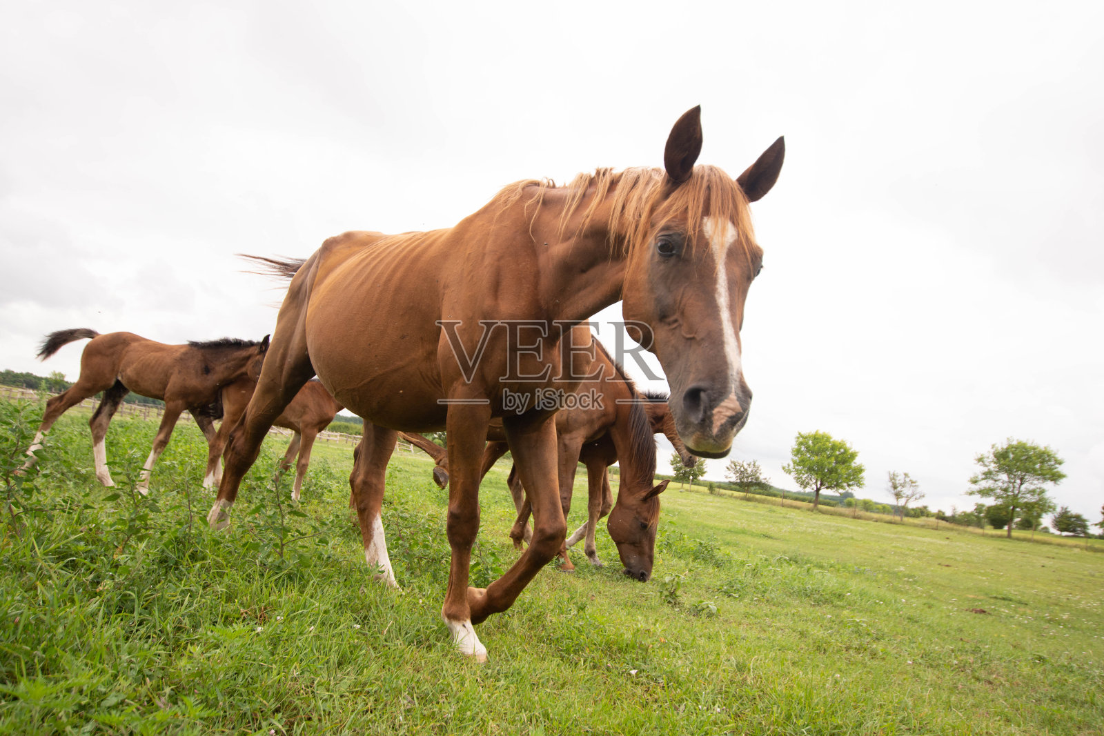 真是适合旅行的好天气照片摄影图片