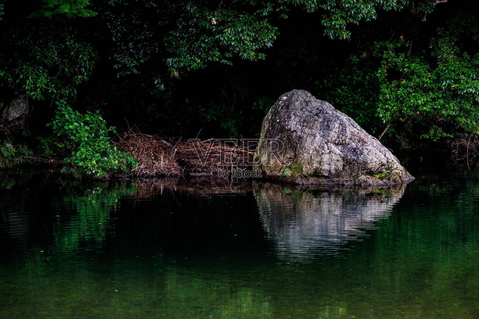 河滨(川野堀)照片摄影图片