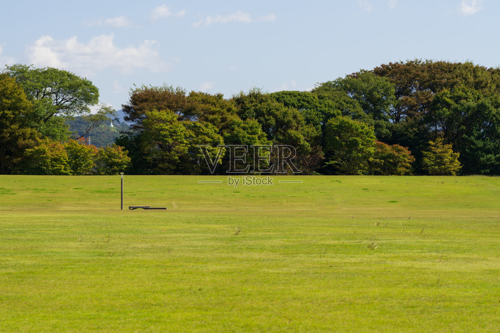 在阳光下放松:公园里一个安静的角落照片摄影图片