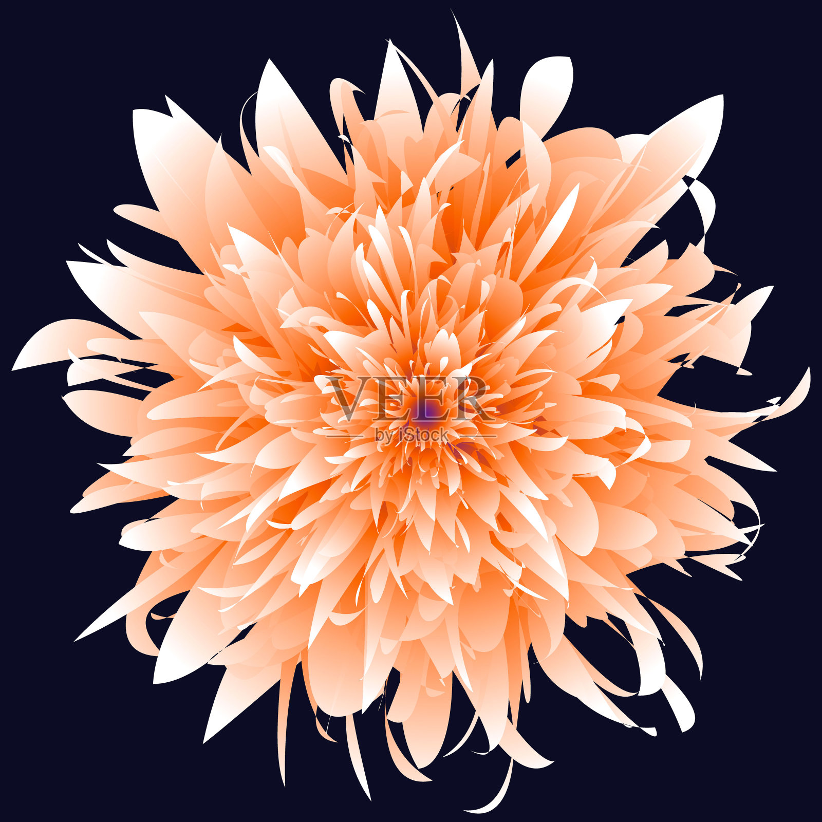 孤立的花插画图片素材