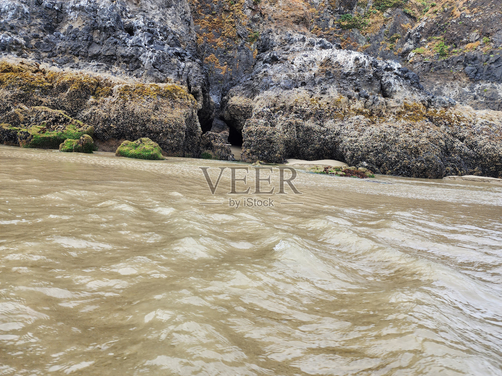 海滩的生活照片摄影图片