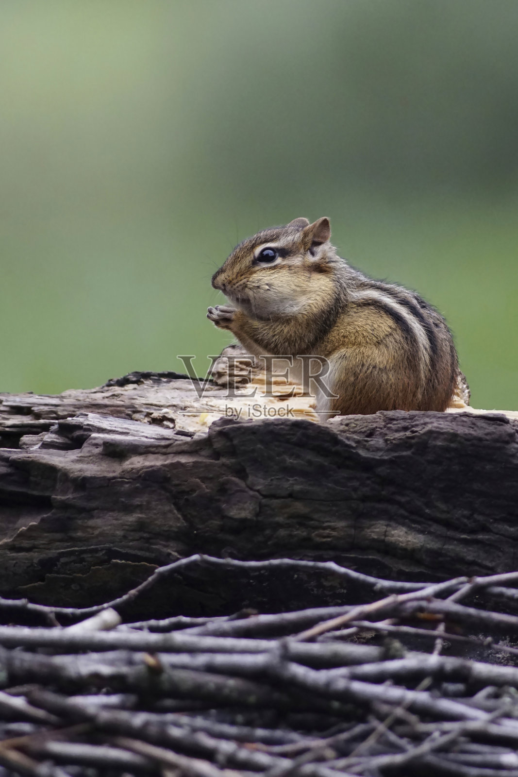 我给你我的一切照片摄影图片