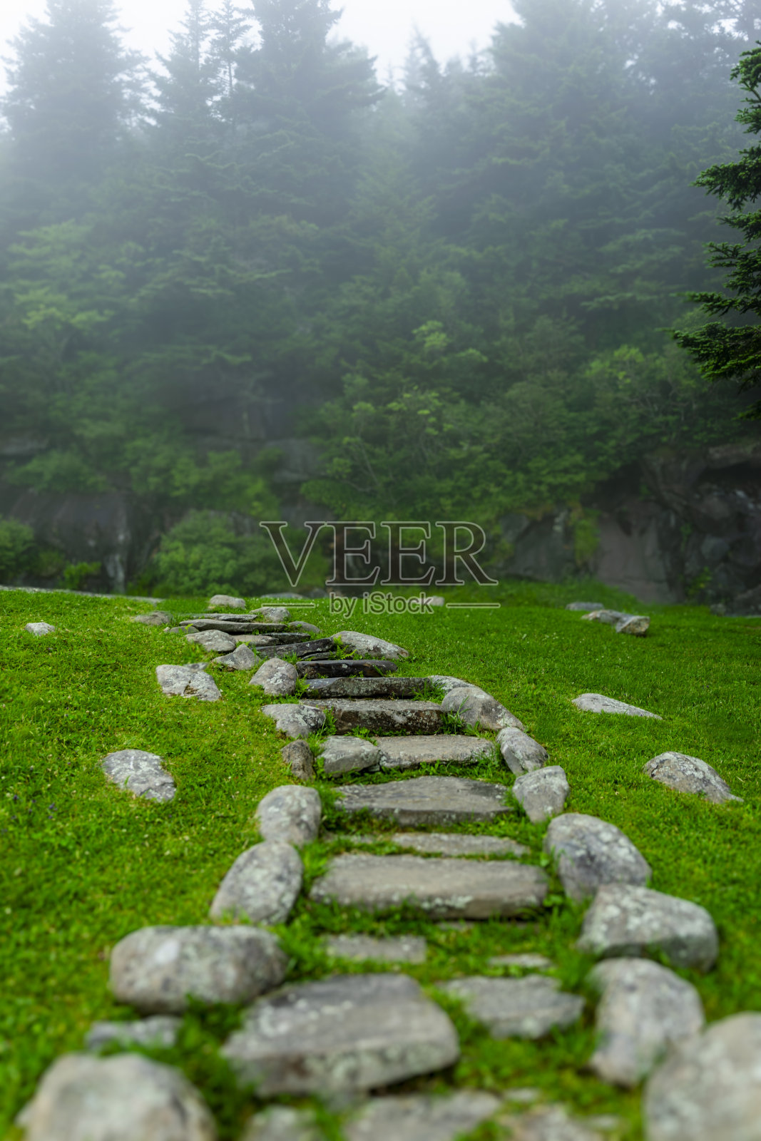 北卡罗来纳州的克林曼圆顶峰照片摄影图片