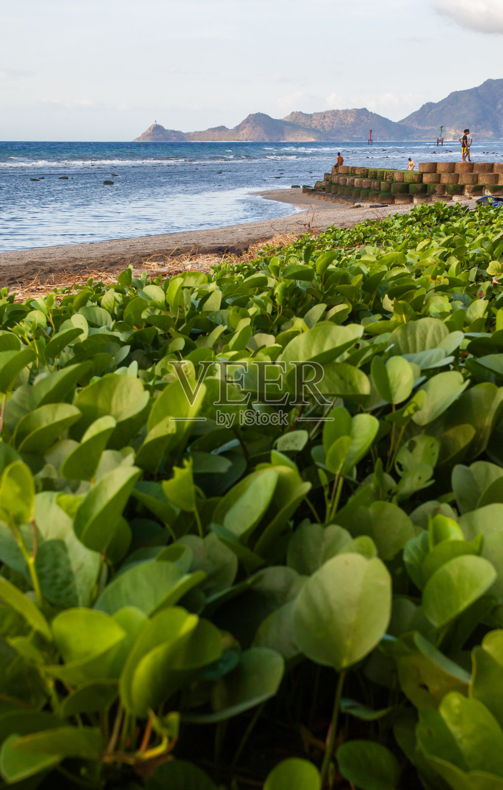 在东帝汶帝力市的卡拉帕海滩，人们在沙滩上锻炼身体，欣赏日落。从这个海滩上，也可以从远处看到Tanjung Fatucama的Cristo Rei雕像。照片摄影图片