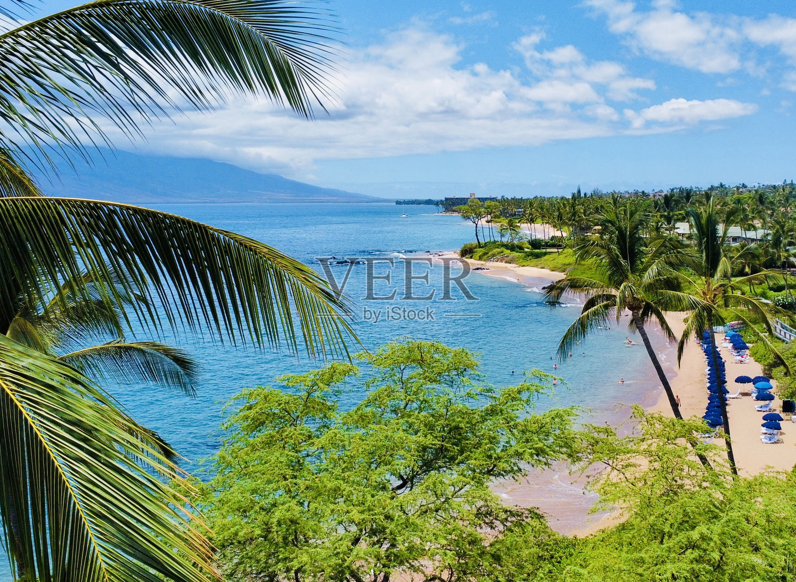 毛伊岛度假照片摄影图片