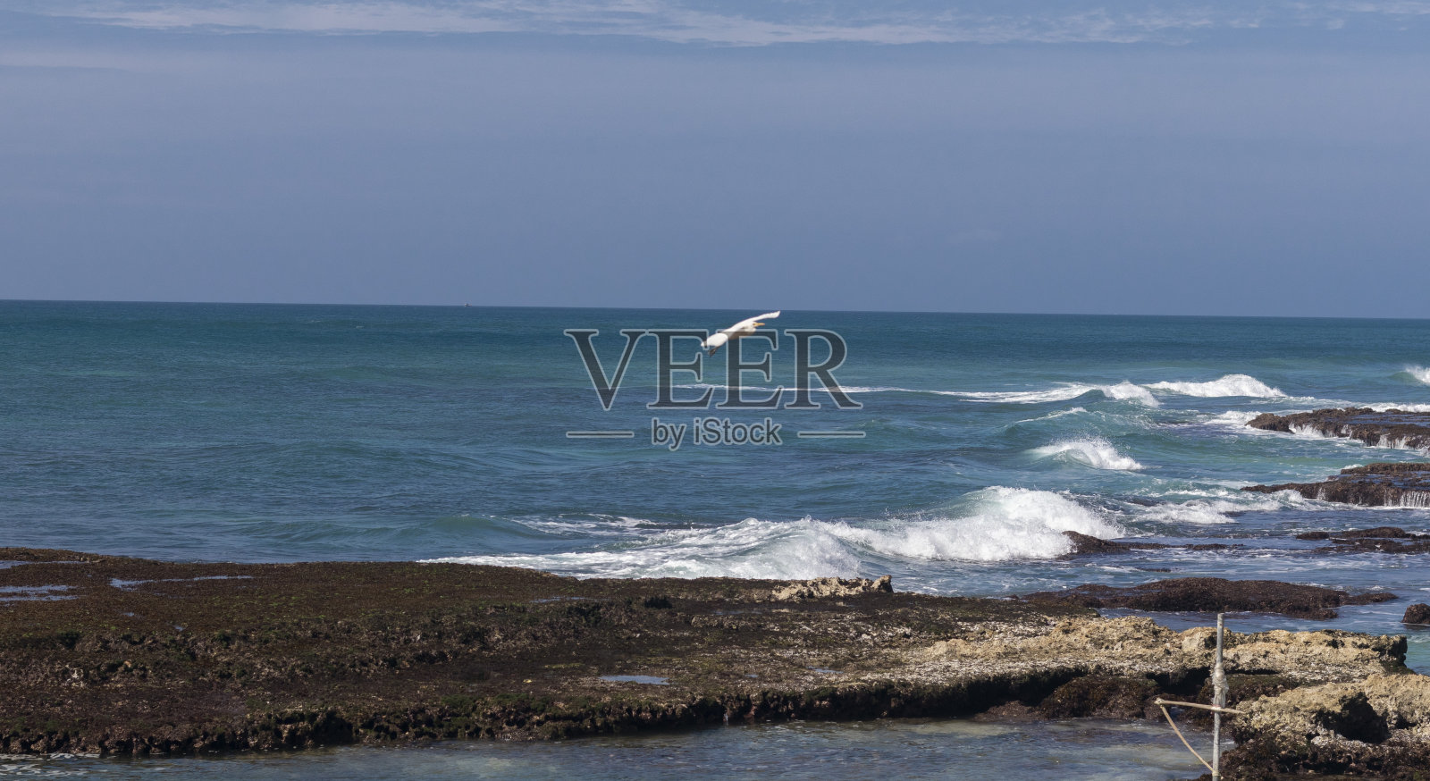 有石头和礁石的海滩照片摄影图片