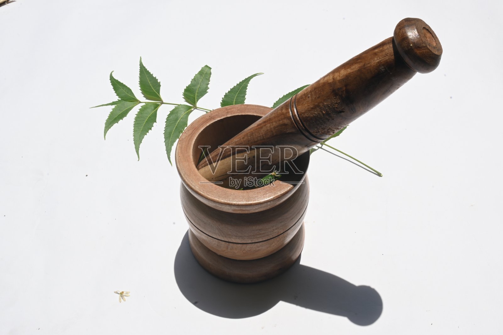 用印度楝叶制作草药。照片摄影图片