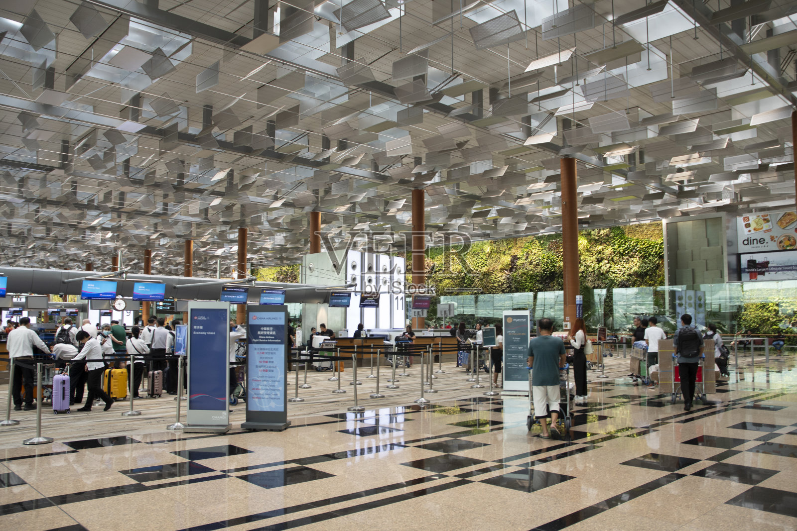 新加坡樟宜机场3号航站楼照片摄影图片