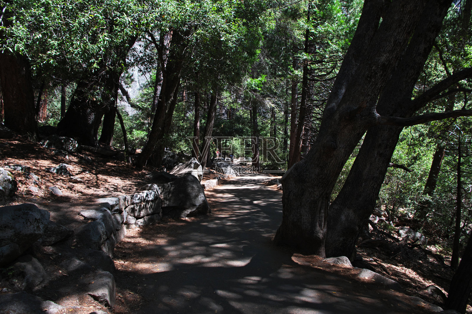 美国加州约塞米蒂国家公园照片摄影图片