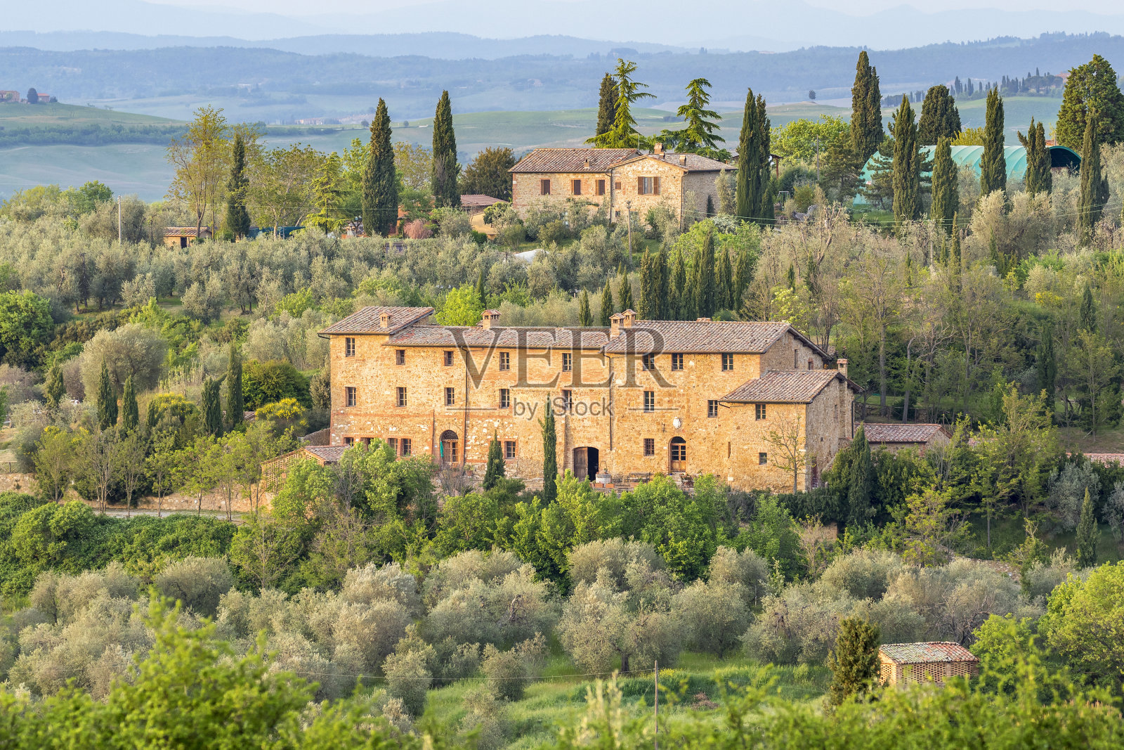 山上的房子，还有橄榄树照片摄影图片