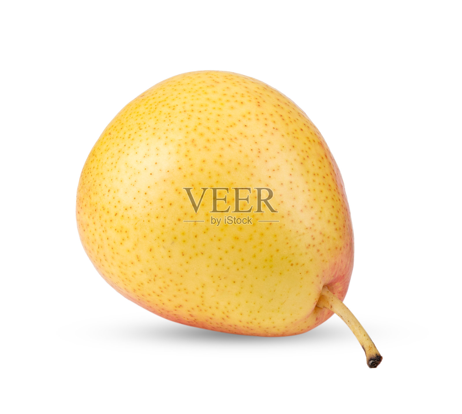 在白色背景上孤立的梨照片摄影图片