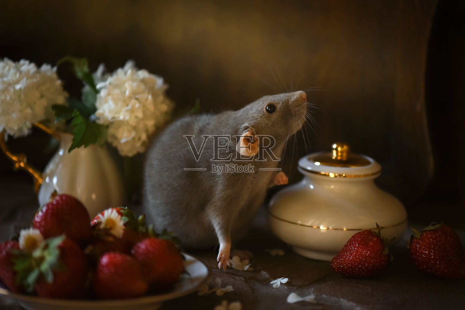 可爱的草莓老鼠照片摄影图片