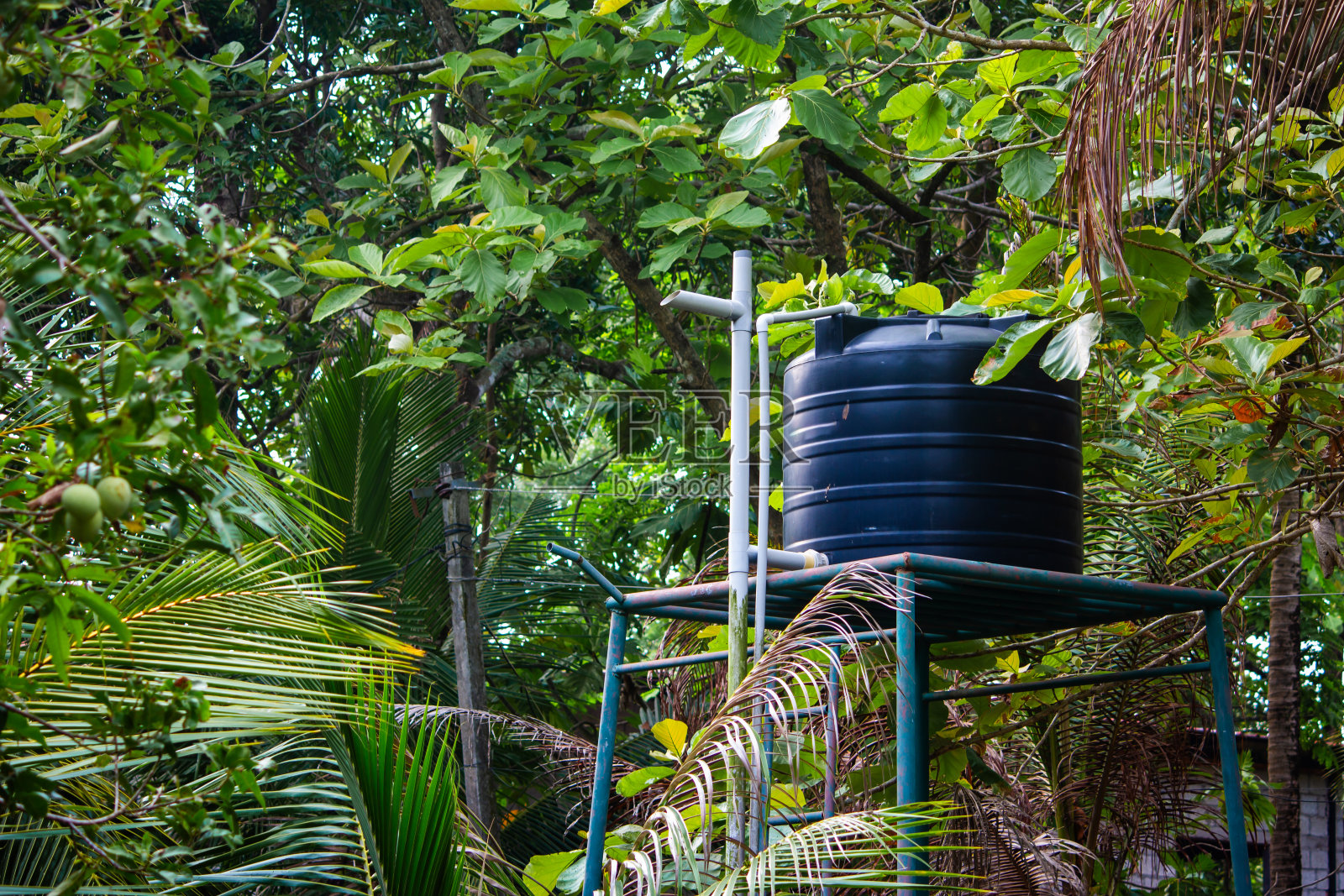 农家用水储存罐的俯视图。照片摄影图片