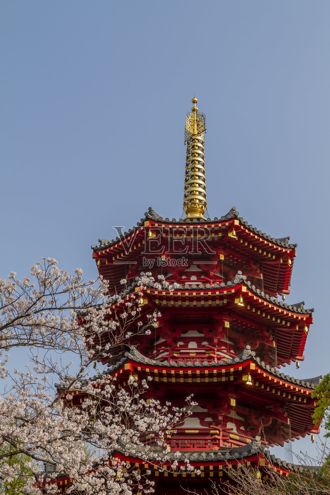 日本川崎金马拉祭照片摄影图片